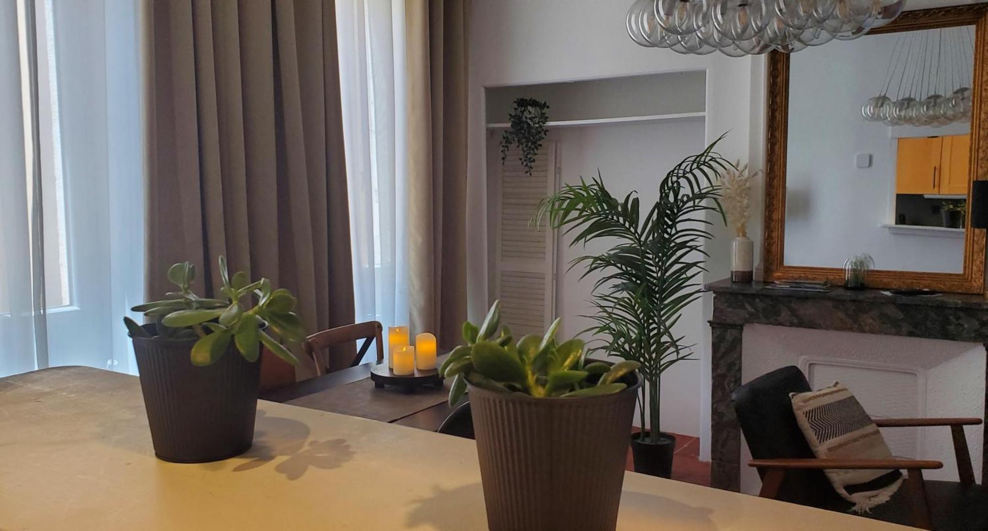 Apartamento La Vaca T3 Standing Climatisation Wifi Netflix Coeur Historique Béziers Exterior foto